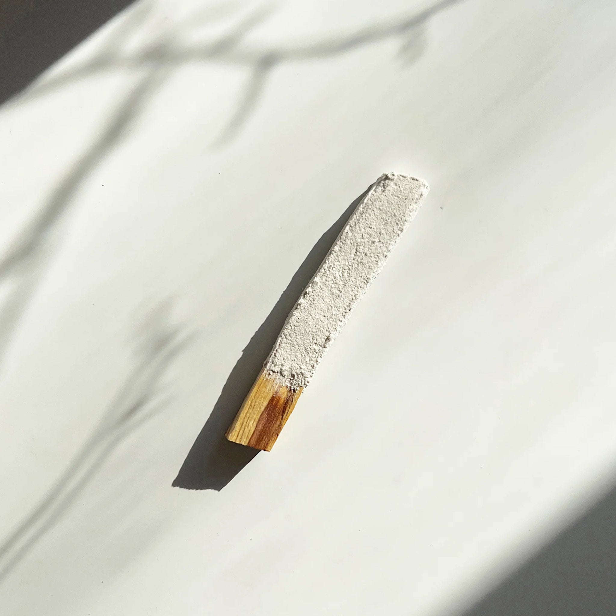 Palo Santo - Resina di copale