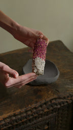 Salvia - Petali di Rosa